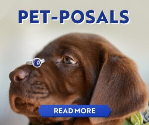 Pup-Posals - Read More